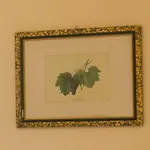 Naxos Sicilia 4* Giardini Naxos