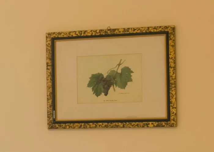 Naxos Sicilia 4* Giardini Naxos